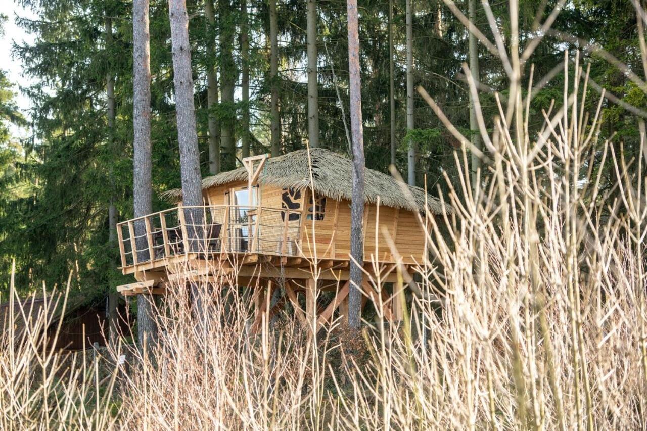 Treehouse U Rybnika Hotel Osecna Bagian luar foto