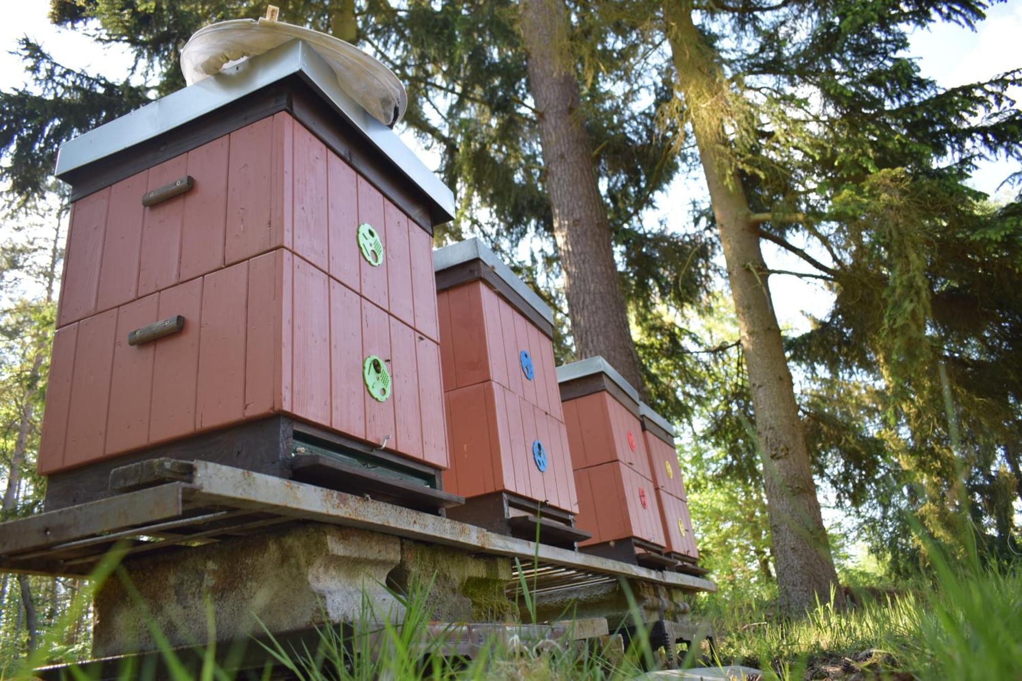 Treehouse U Rybnika Hotel Osecna Bagian luar foto